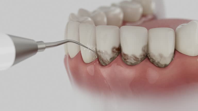 Reliable Dental contractor in New Cumberland, PA by Dentist Open Now